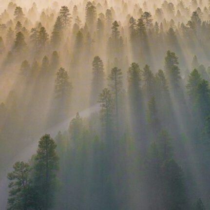 Meg-Reynolds-Advanced-Meditation-exploring-vedas